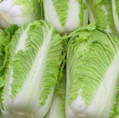 Long Cabbage
