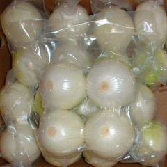 Fresh Peeled Onion