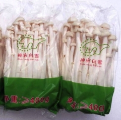 Retail Haixian Mushroom| Shennong Brand