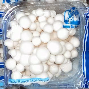 Fresh White Shimeji Mushroom for Sea-shipment| Hyjpsizygus marmoreus