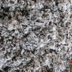 Cottonseed hulls for mushroom growing